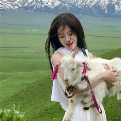 我的纯洁土地