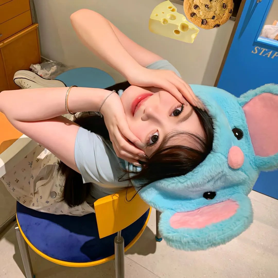 双姝艳